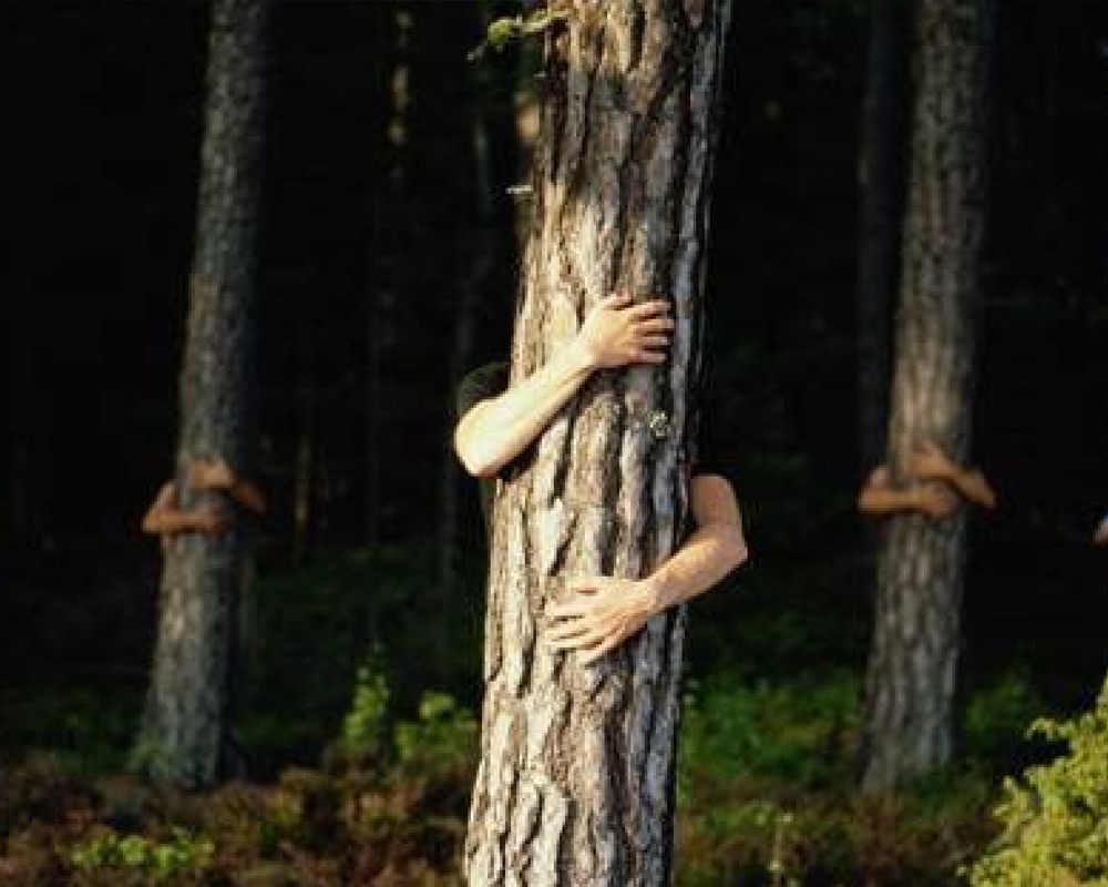Actu Votre nouvelle expérience nature : le Bain de Forêt - Arbre avec des mains